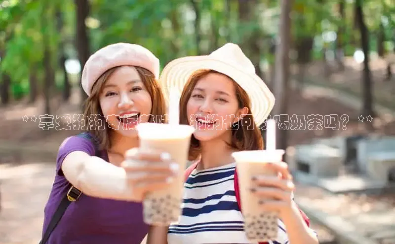 熊猫体育在线观看平台诸葛科技