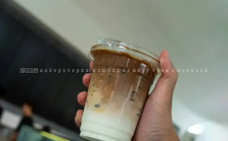 熊猫体育app官网路畅科技