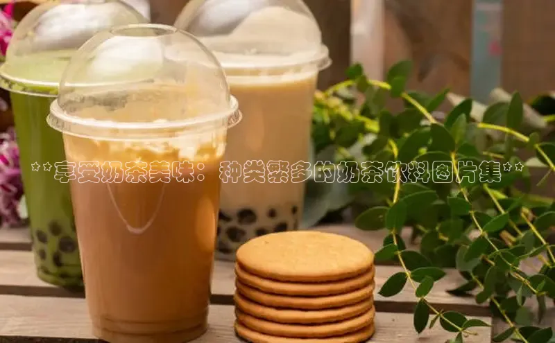 熊猫足球直播免费观看慧博云通