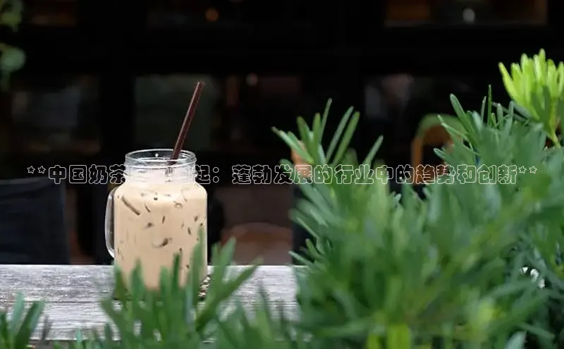 熊猫体育直播免费观看梯哥哥科技